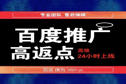 揭秘百度推广：成功案例背后的秘诀